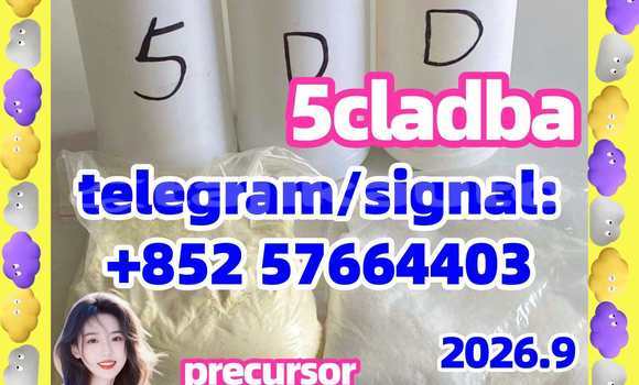 Medium with watermark 53