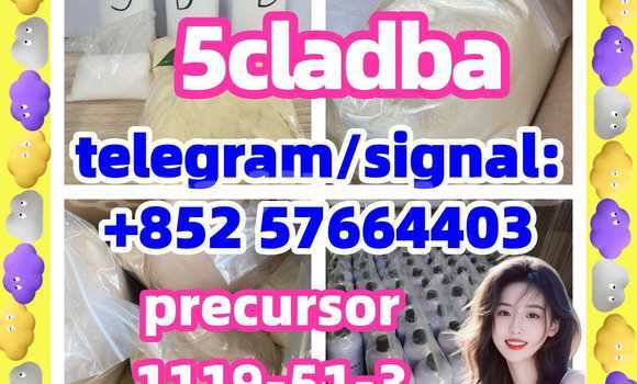 Medium with watermark 55
