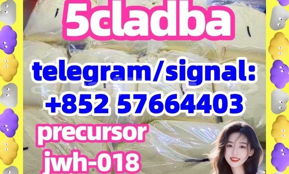 Medium with watermark 56
