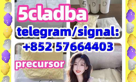 Medium with watermark 57