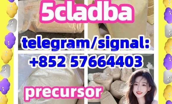 Medium with watermark 512