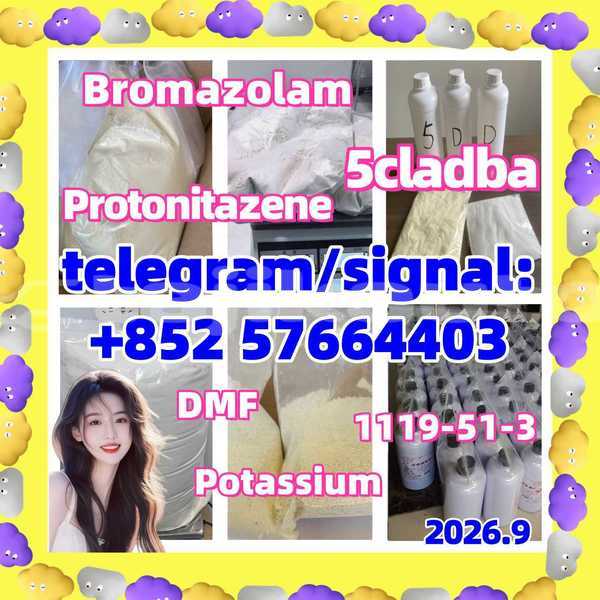 Big with watermark 513