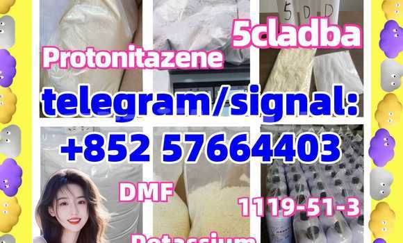 Medium with watermark 513