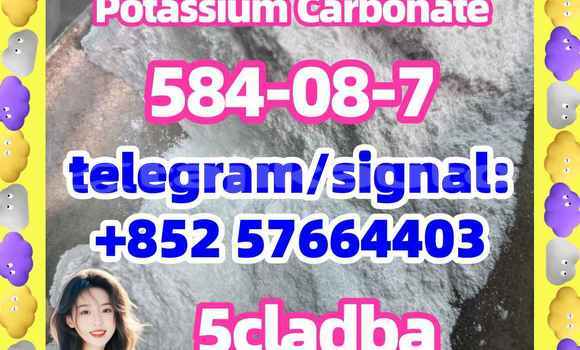 Medium with watermark 510