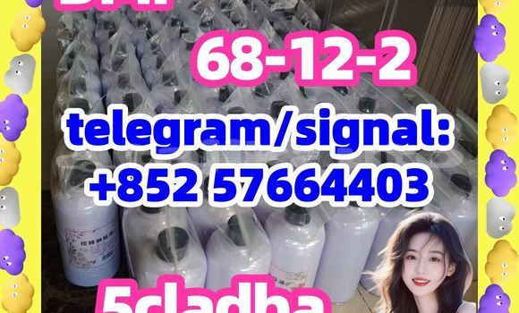 Medium with watermark 511