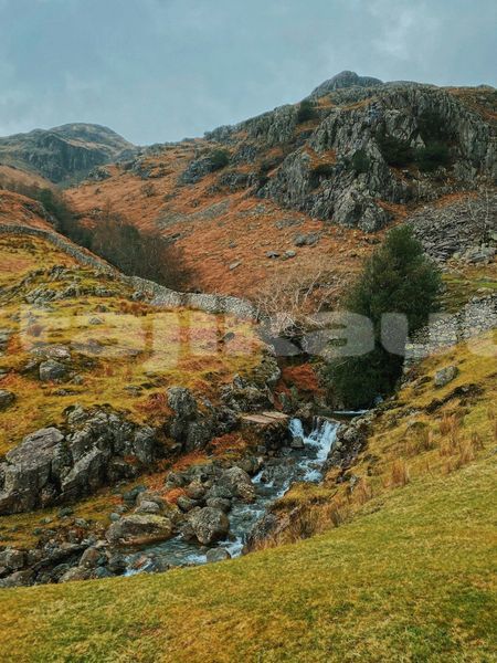 Big with watermark image