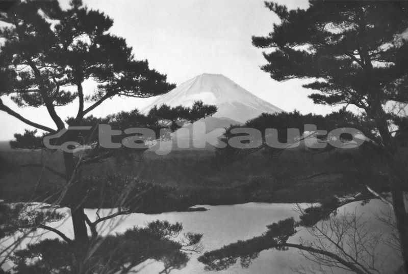Big with watermark image