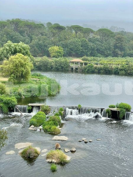 Big with watermark image