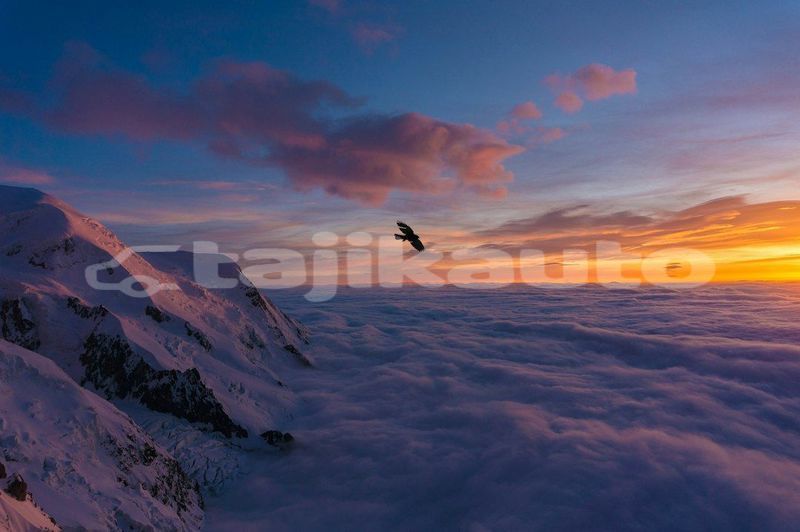 Big with watermark image