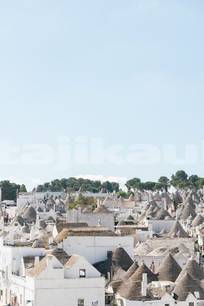 Big with watermark image