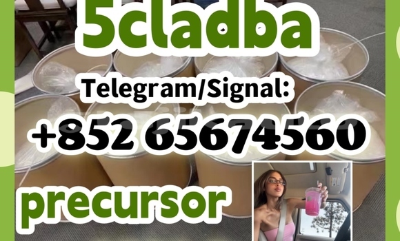 Medium with watermark tehryij6u8ikltyi