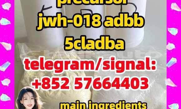 Medium with watermark 5t1 2