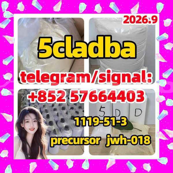 Big with watermark 5t1 5