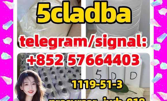 Medium with watermark 5t1 5