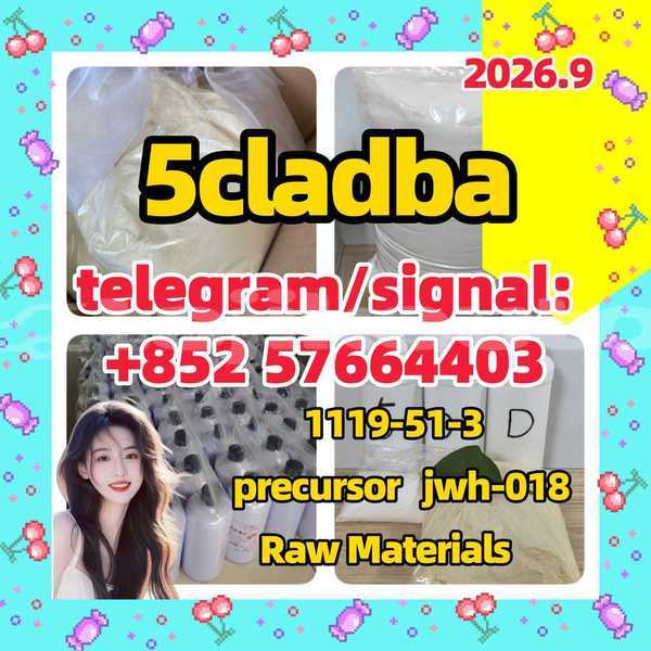 Big with watermark 5w1 2
