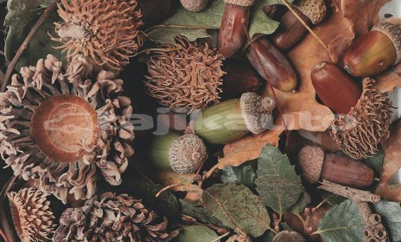 Medium with watermark image