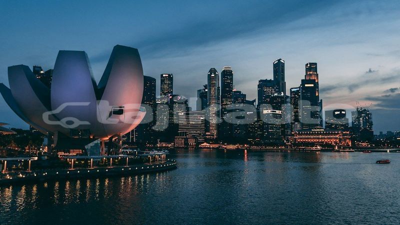 Big with watermark image