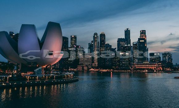 Medium with watermark image
