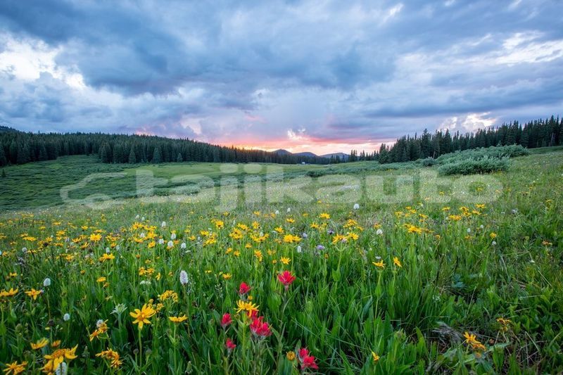 Big with watermark image