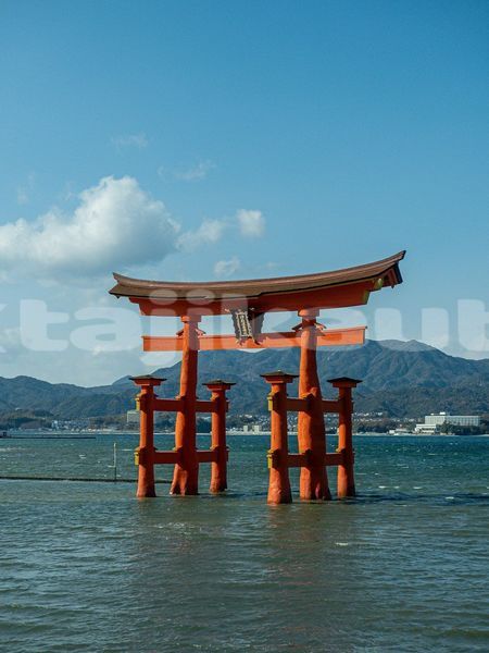 Big with watermark image