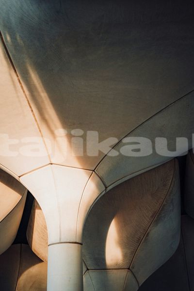 Big with watermark image