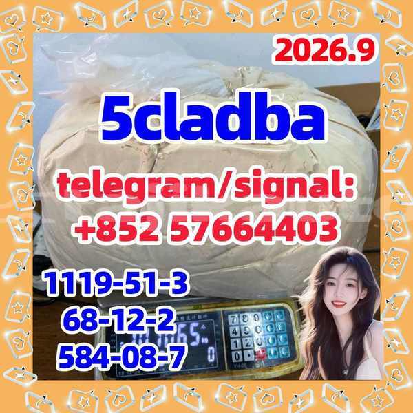 Big with watermark 51