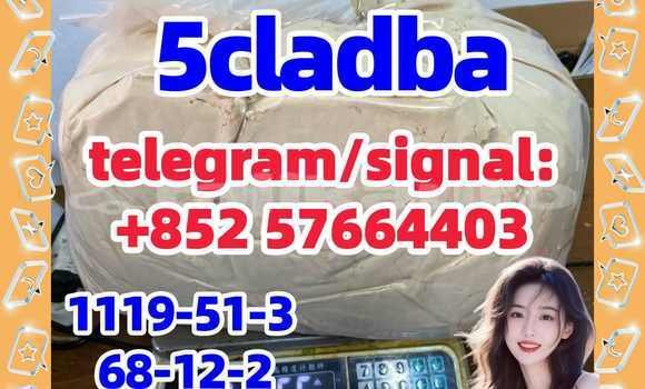 Medium with watermark 51