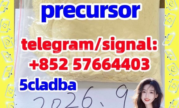 Medium with watermark 52