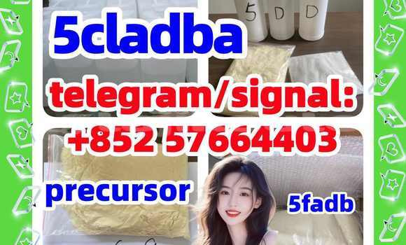 Medium with watermark 55