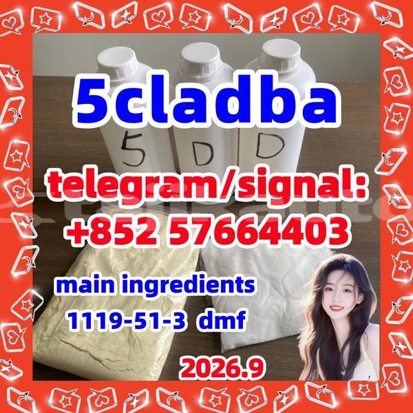 Big with watermark 56