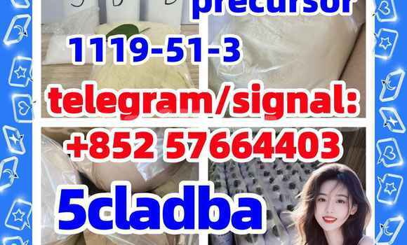 Medium with watermark 57