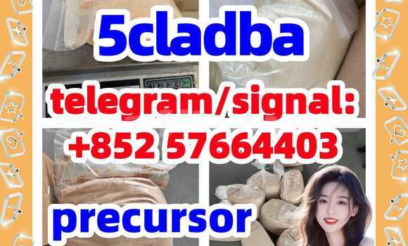 Medium with watermark 58