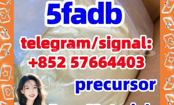 Medium with watermark 510