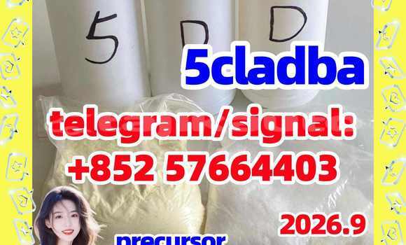 Medium with watermark 59