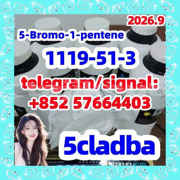 Big with watermark 511
