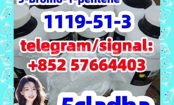 Medium with watermark 511