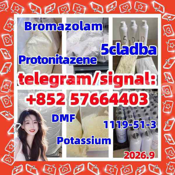 Big with watermark 515