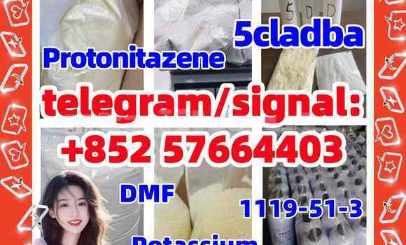 Medium with watermark 515