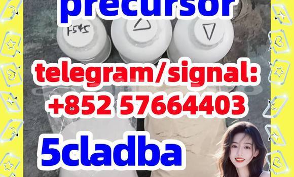 Medium with watermark 514