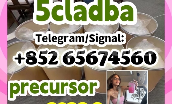 Medium with watermark sdgbgtfhdtyjyujkuk