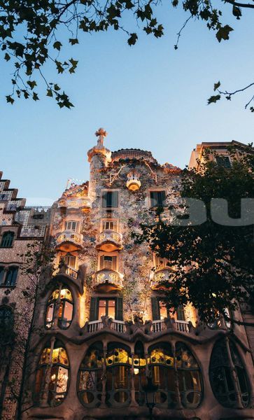 Big with watermark image