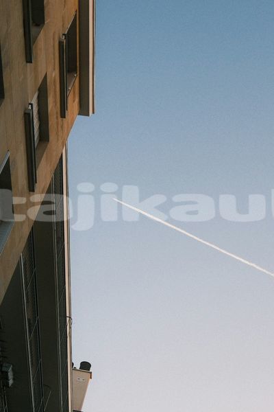 Big with watermark image