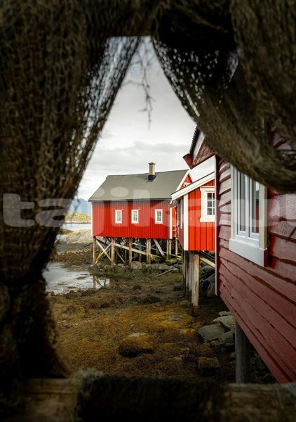 Big with watermark image