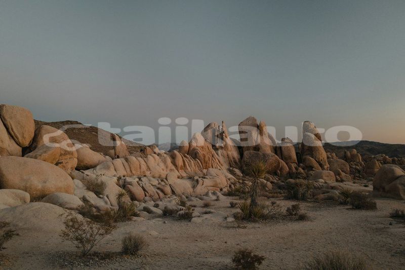 Big with watermark image