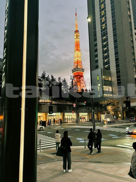 Big with watermark image