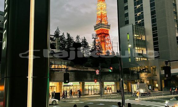 Medium with watermark image