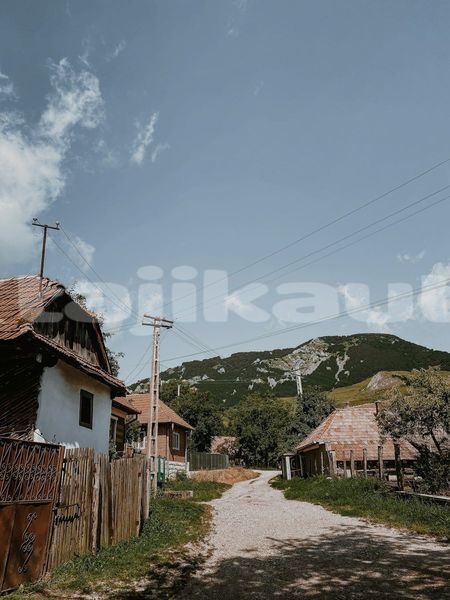 Big with watermark image