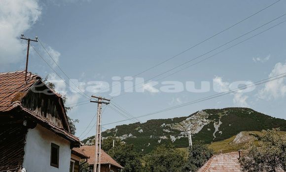 Medium with watermark image