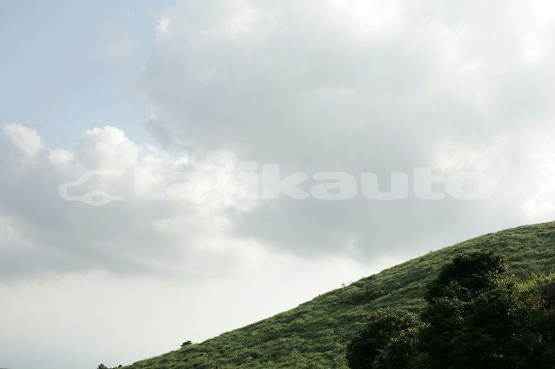 Big with watermark image