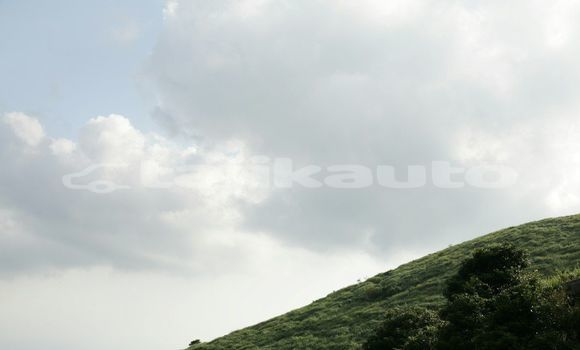 Medium with watermark image